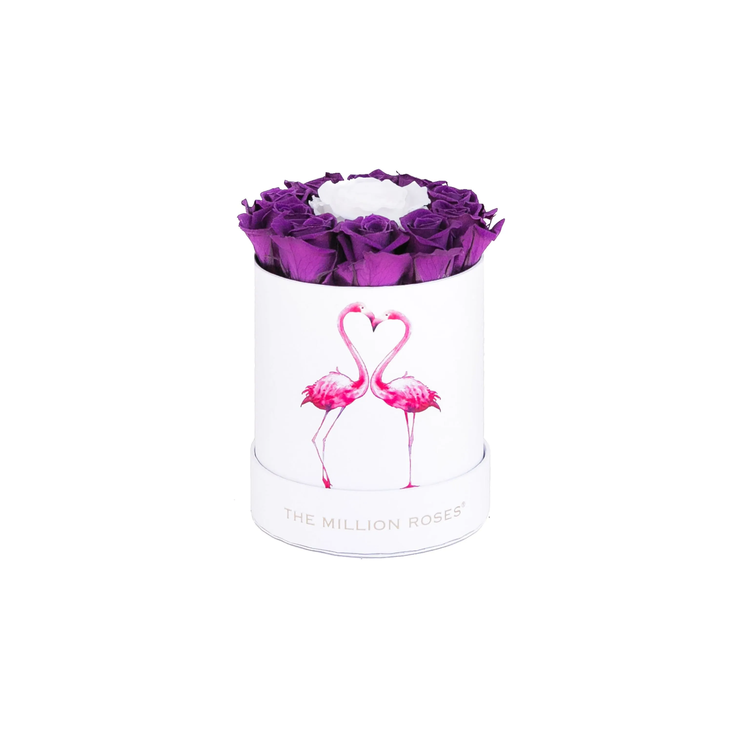 Basic White Box | Flamingo Edition | Bright Purple Mini Roses