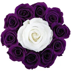 Basic White Box | Flamingo Edition | Bright Purple Mini Roses