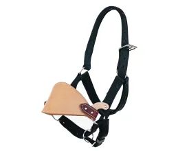 Beastmaster Adult Nylon Saddle Bronc Halter