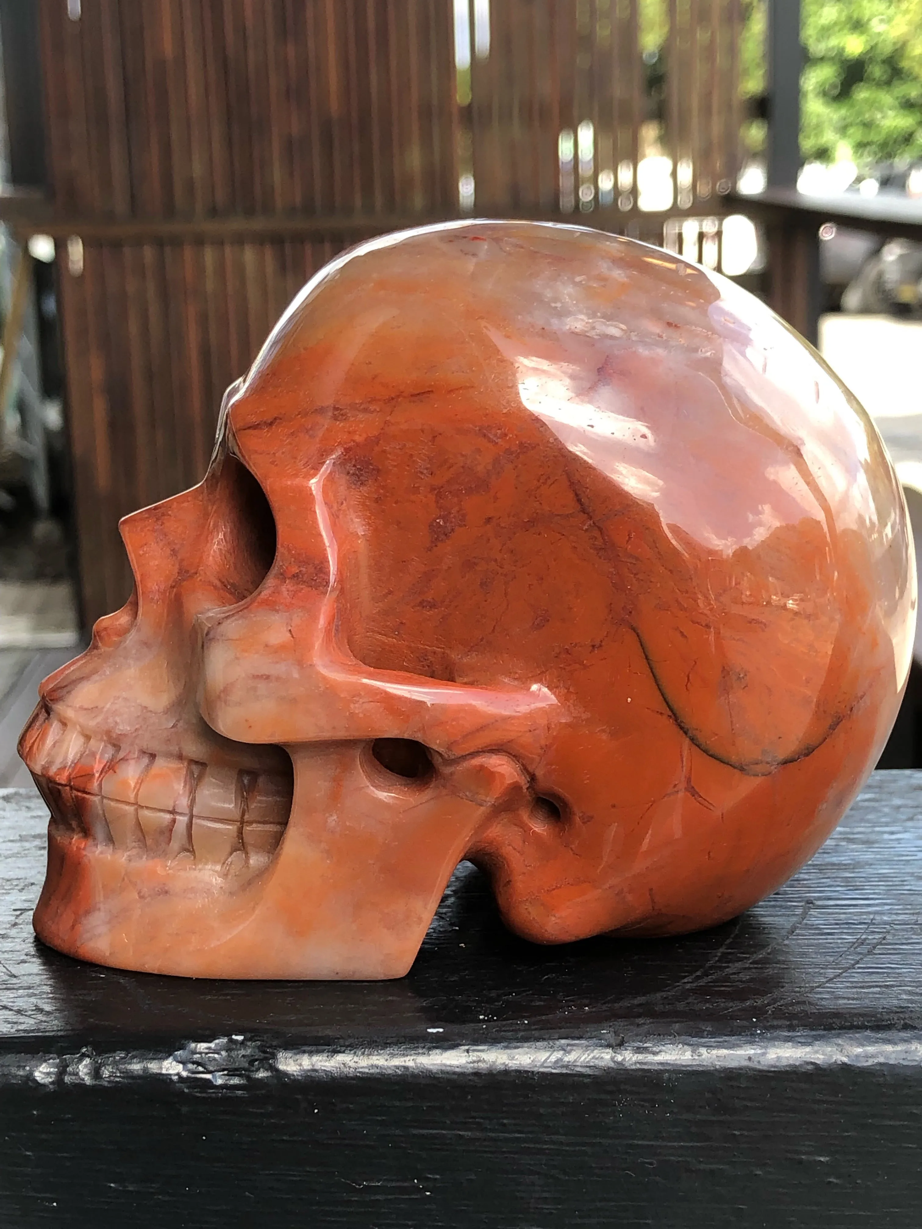 Orange Red and Yellow Brown Agate Skull [1K1182]