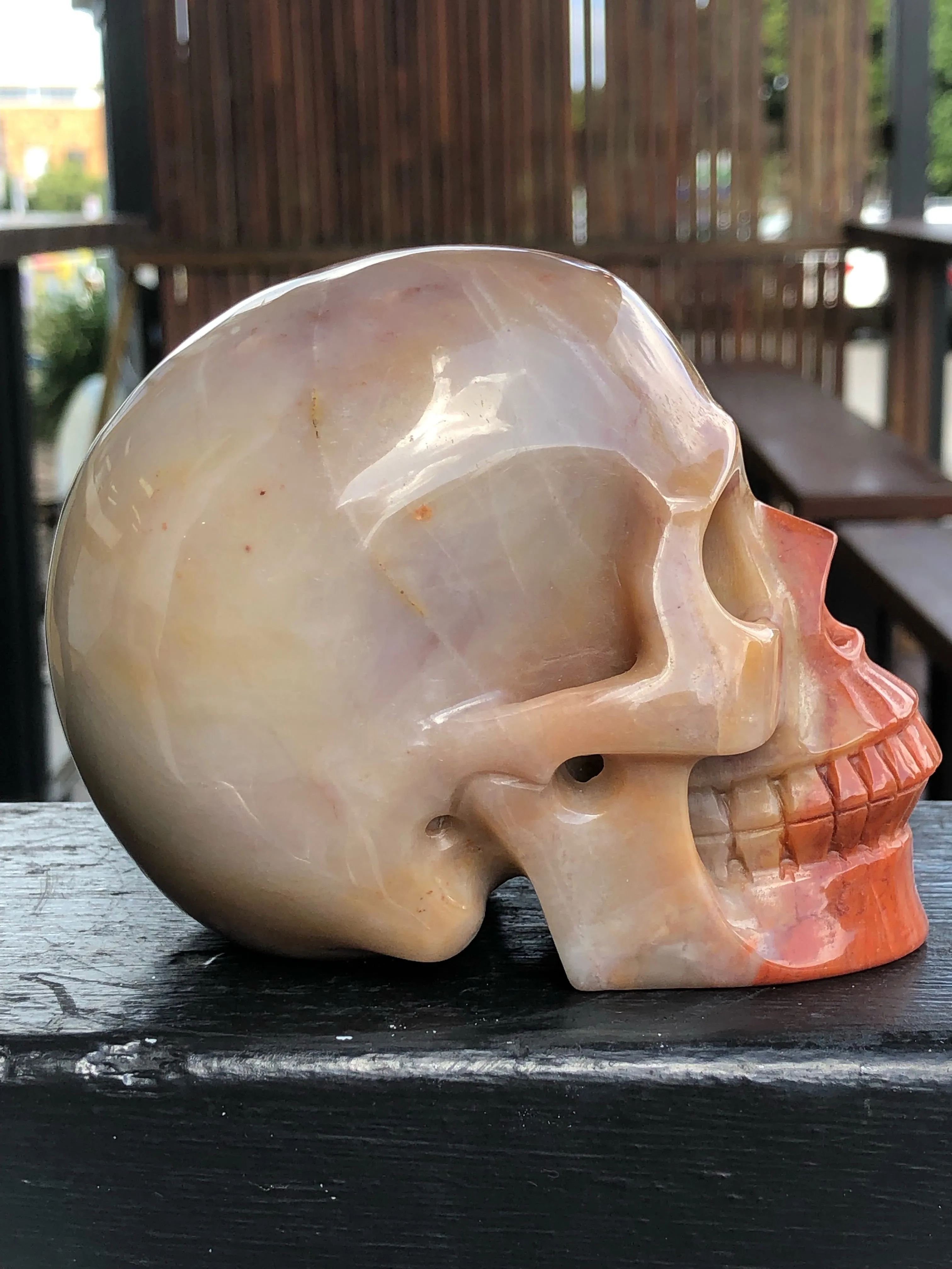 Orange Red and Yellow Brown Agate Skull [1K1182]